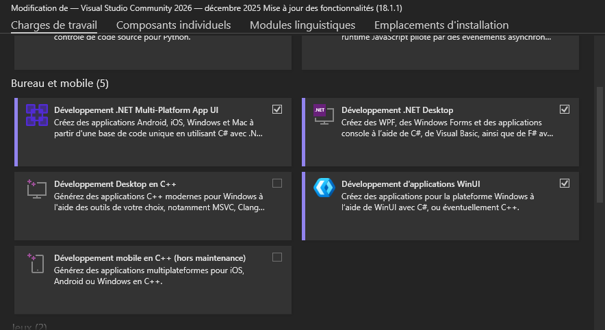 Visual Studio Installer Options